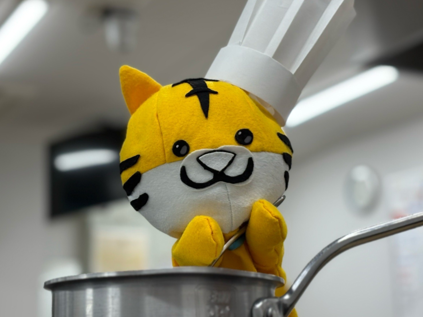 高度調理体験メニュー