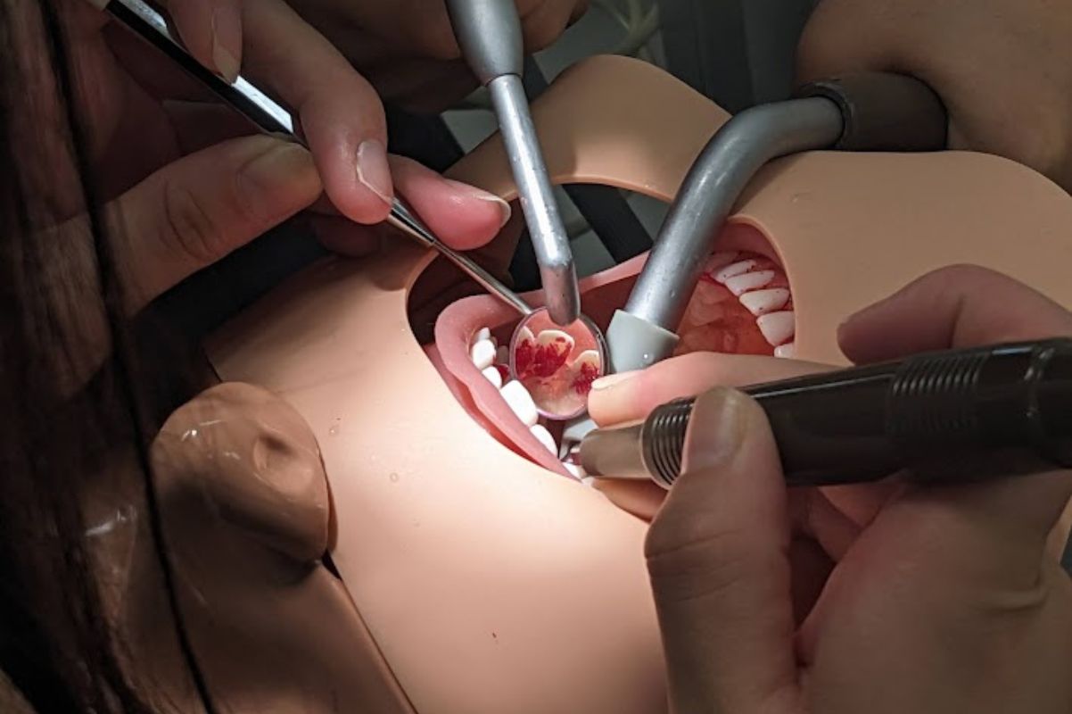 歯科衛生士体験メニュー