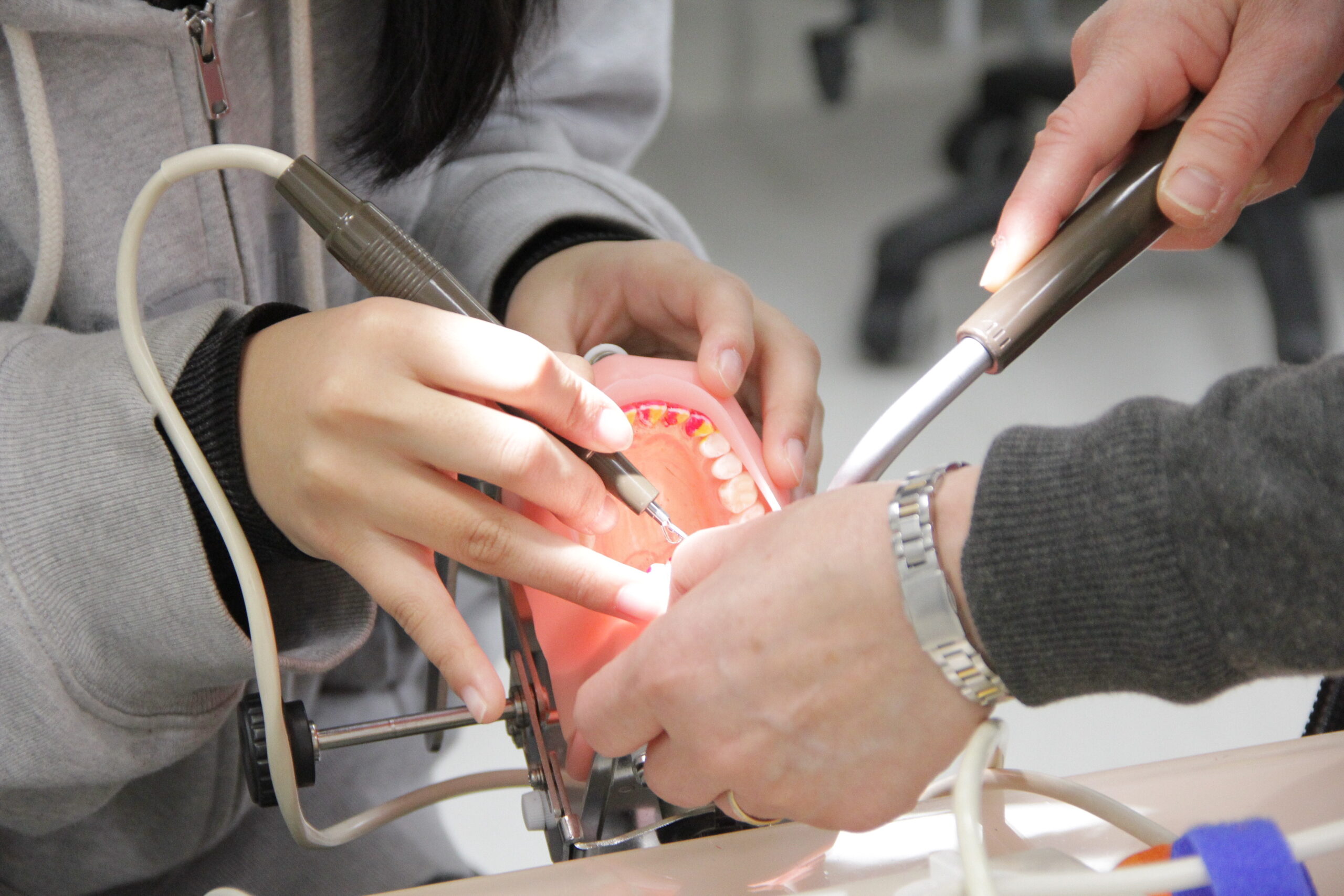 歯科衛生士体験メニュー